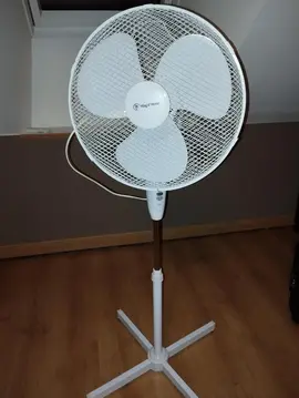 Ventilateur électrique