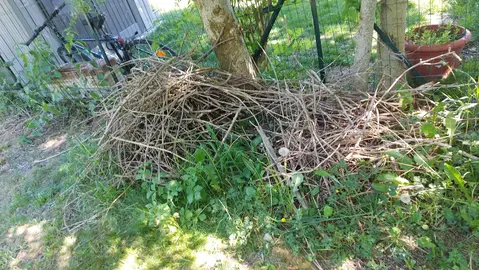 morceaux de bois