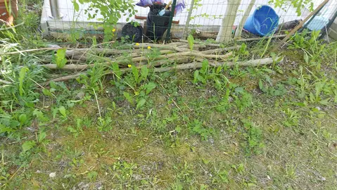 morceaux de bois