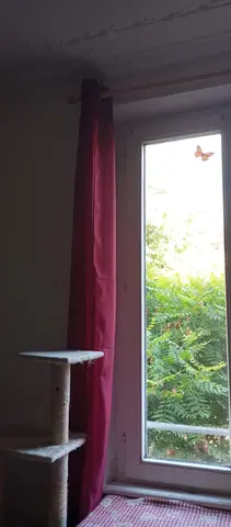 lot de deux rideaux rouges