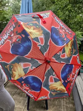 parapluie ladybug