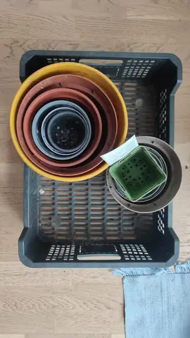 Pots en plastique divers pour jardinage