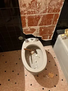 2 bidets et une baignoire à démonter