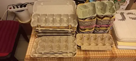boîtes à œufs X6 et X12