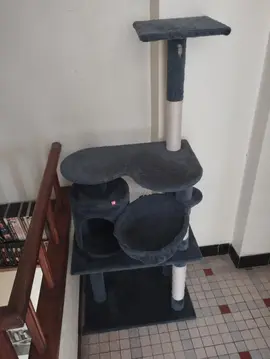 arbre à chat