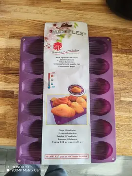 moule madeleines