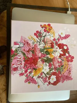 boîte carton et emballage