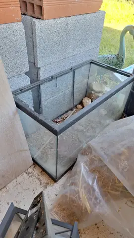 aquarium