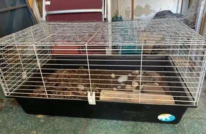cage à lapin ou pour hibernation tortues en hiver