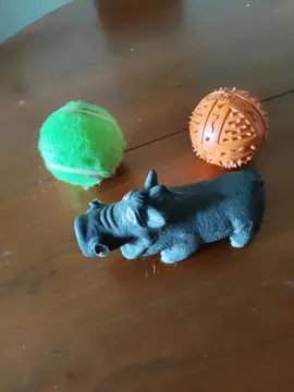 jouets pour chien