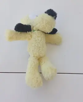 Chien
