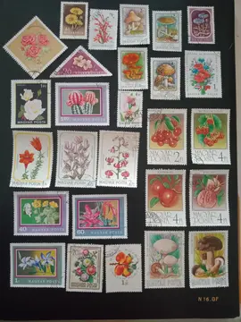 Timbres / Hongrie fleurs, fruits & champignons