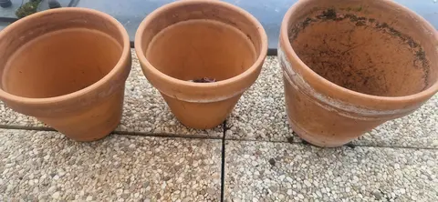 pots en terre cuite 2 de diamètre 17cm et 1 pot de diamètre 20 cm