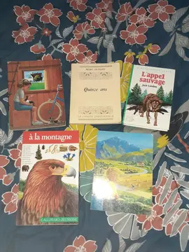 livres enfant
