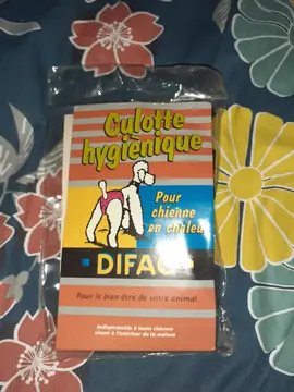 culotte hygiénique chienne