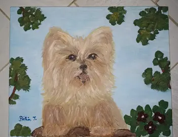 huile suf carton 22 cm x 27 cm