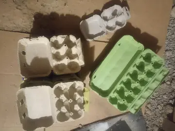 Boîtes à oeufs
