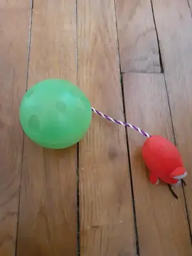 Boule à croquettes pour chat + jeux de chat (souris)