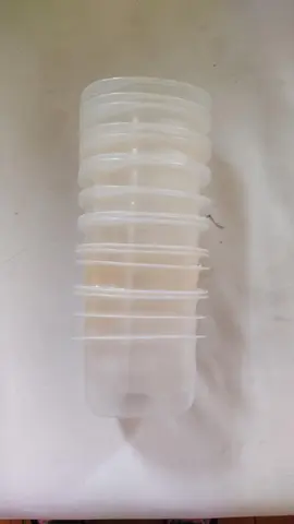 boîtes plastiques purée transparentes