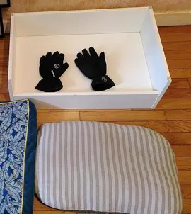 Caisse et tapis pour chien