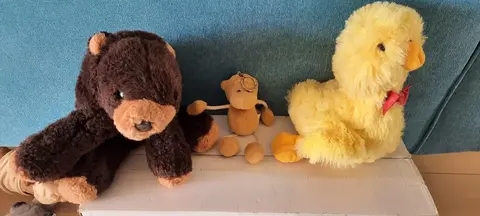 Peluches et sac à dos/rangement pyjama