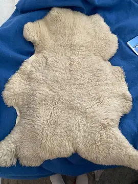 Peau de mouton