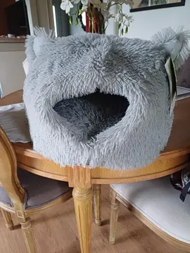 igloo pour chat