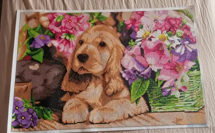 Diamond painting fini
