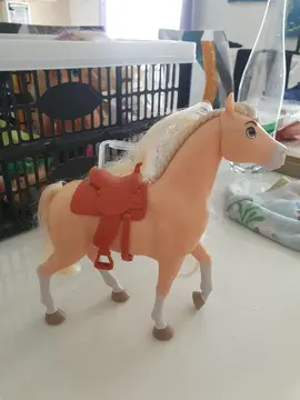 cheval spirit