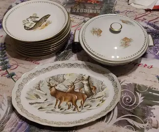 PIECES SERVICE EN PORCELAINE DECOR NATURE FRANCE