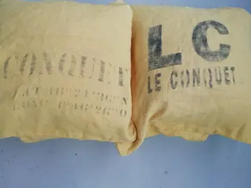 Housses coussins x2 en lin jaune