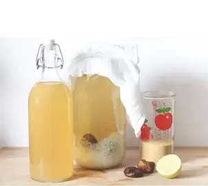graines de kéfir de fruit bio