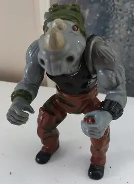 rhinocéros