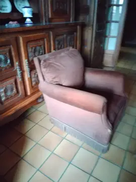 deux fauteuils en velours
