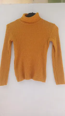 pull col roulé femme 36