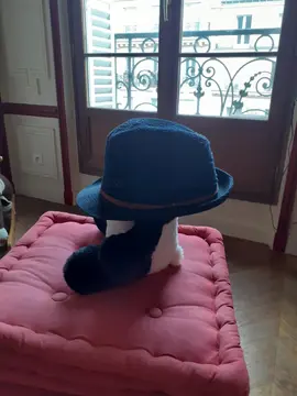 casquettes et chapeau