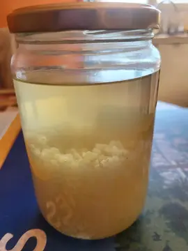 grains pour kefir de fruits