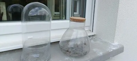 2 bonbonnières pour plantes ou autre
