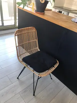 Chaises intérieur salon rotin et acier noir