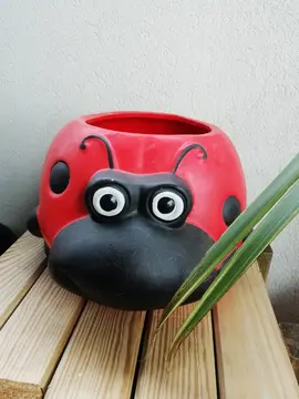 Cache pot rigolo Animal Coccinelle