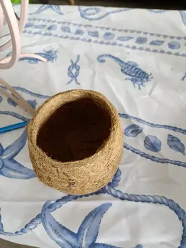 pot