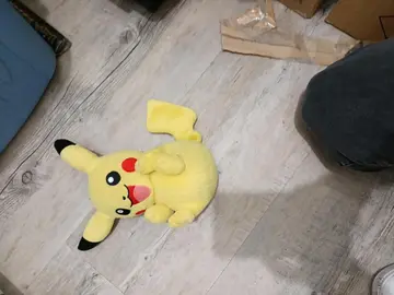 peluche