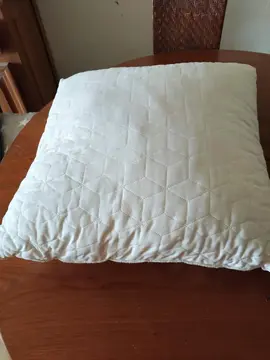 Coussin