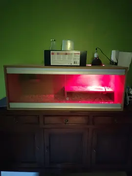 vivarium