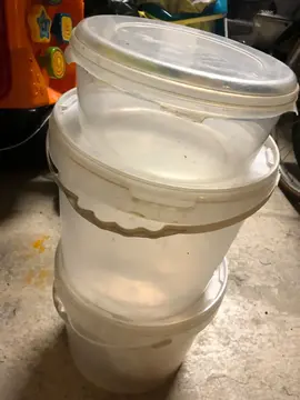 pot