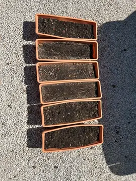 6 jardinières avec terre