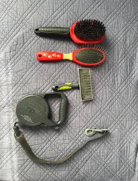 Donne laisse extensible et brosses