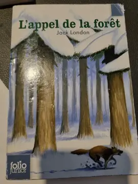 Lot de livre