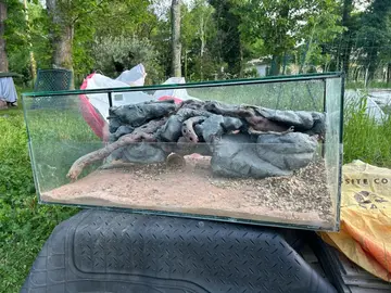 Terrarium