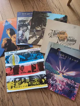 Lot de disques vinyles